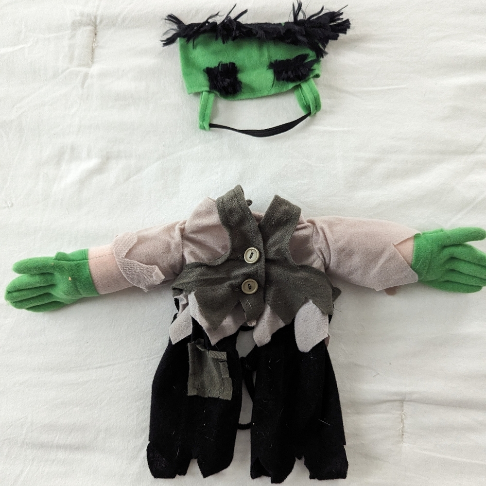 Dickens Closet Frankenstein Costume